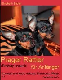 Prager Rattler (Pražský krysarík) für Anfänger - Elisabeth Engler