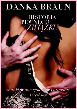 eBook Historia pewnego związku - Danka Braun epub mobi