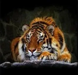 Mozaika diamentowa tygrys - ADAR