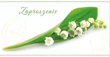 Zaproszenia Flowers nr 01 (opakowanie 10 szt) - Stamp