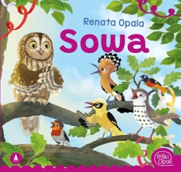 Sowa - Renata Opala