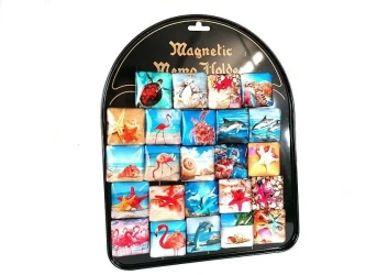 Magnesy morskie (24szt) - ADAR