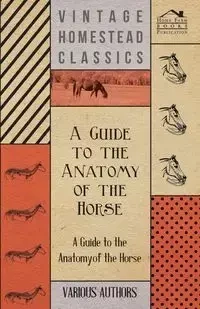 A   Guide to the Anatomy of the Horse - A Collection of Historical Articles on the Skeleton, Hoof, Teeth, Locomotion and Other Aspects of Equine Anato - Various