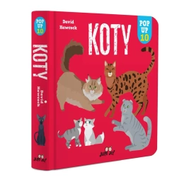 Koty POP-UP 10 - David Hawcock
