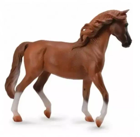 Klacz rasy Arabskiej Maści Kasztan - Collecta