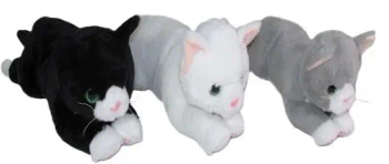 Kot 40cm MIX - Sun-Day