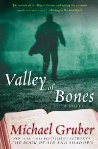 Valley of Bones - Michael Gruber