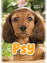 Kalendarz 2026 wieloplanszowy B4 Psy - Artsezon
