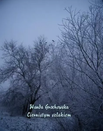 eBook Ciernistym szlakiem. Opowiadanie z czasów prześladowania Unii - Wanda Grochowska mobi epub