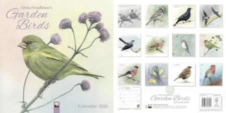 Kalendarz 2026 ścienny Ptactwo Chris Pendleton - Flame Tree