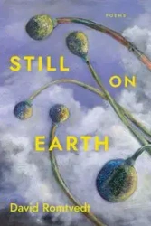Still on Earth - David Romtvedt