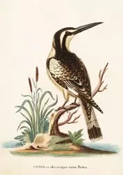 Karnet ST224 B6 + koperta Zimorodek - Skona Ting