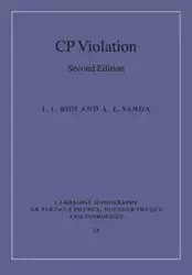 CP Violation - Bigi I. I.