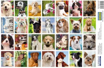 Naklejki. Psy - LITERAT