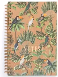 Notes Jungle II