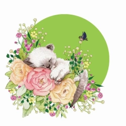 Karnet Swarovski kwadrat CL2002 Kot - Clear Creations