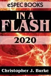 In a Flash 2020 - Christopher J. Burke