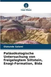Paläoökologische Untersuchung von freigelegtem Siltstein, Enagi-Formation, Bida - Salami Olatunde