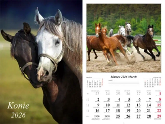 Kalendarz 2026 ścienny Konie - praca zbiorowa
