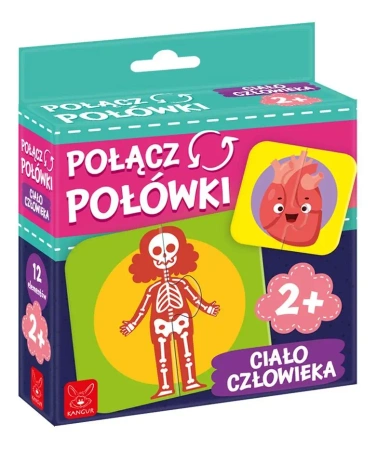 Połącz połówki Ciało Człowieka - Kangur
