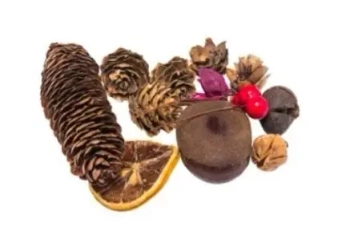 Susz dekoracyjny 30g - Brewis