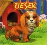 Piesek JAFI - Katarzyna Campbell