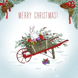 Karnet Swarovski kwadrat CL2301 Święta Taczka - Clear Creations