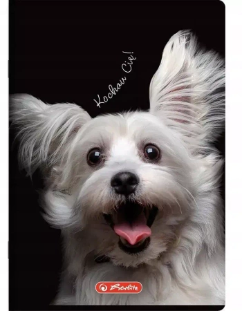 Herlitz Zeszyt do słówek A6 Crazy Animal kratka 32 kartki