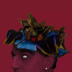 Pułapka na motyle, CD