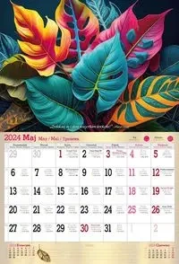 Songs In The Key of MP3