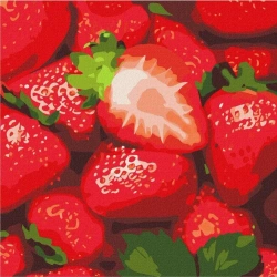 Malowanie po numerach - Soczysta truskawka 25x25cm - Ideyka