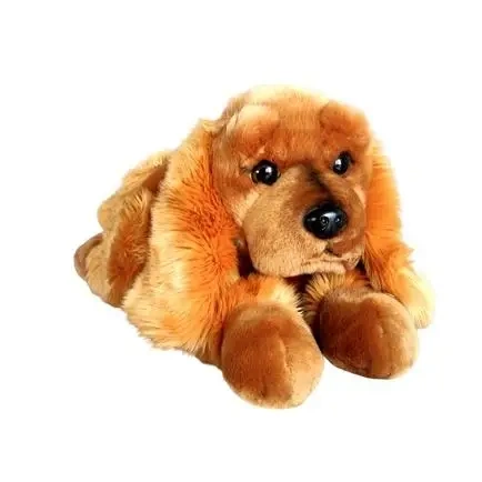 Pies Spaniel 62cm - Dubi