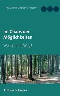 Im Chaos der Möglichkeiten - Thea Johannsson