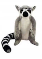 Lemur 22cm - Dubi