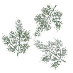 Gałązki tuji 13cm 3szt - Dalprint dpCraft