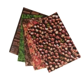 Karton 300g Natura 24x34cm 5 arkuszy - Galeria Hobby