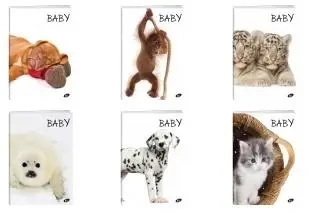 Zeszyt A5/32K kratka BABY MIX (20szt) - Elisa