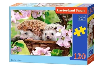 Puzzle 120 Wiosenny czas CASTOR - Castorland