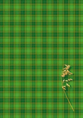 BRULION KRATKA A4 200 KART TWARDA OPRAWA KRESKA