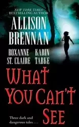 What You Can't See - Allison Brennan