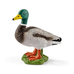 Kaczor - SCHLEICH