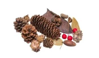 Susz dekoracyjny 30g - Brewis