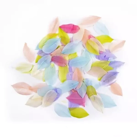 Pióra gęsie pastel 6cm 5g - Dalprint