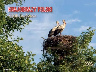 Kalendarz 2026 ścienny album. 28,5x20cm Krajobrazy - AVANTI