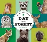 Day in Forest - Claire Alexandra