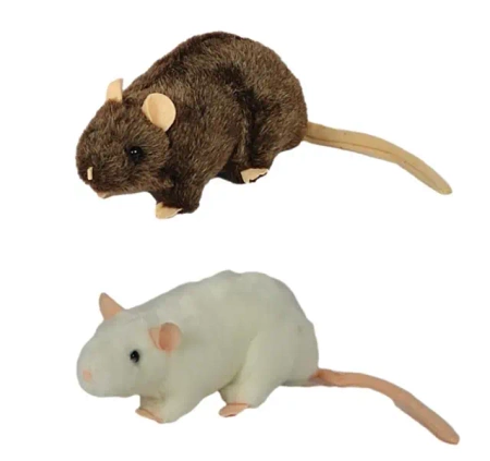 Szczur 20cm MIX - Dubi