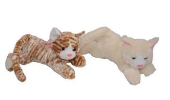 Kot glos 39cm MIX - Sun-Day