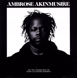 On The Tender Spot Of Every Calloused Moment, CD