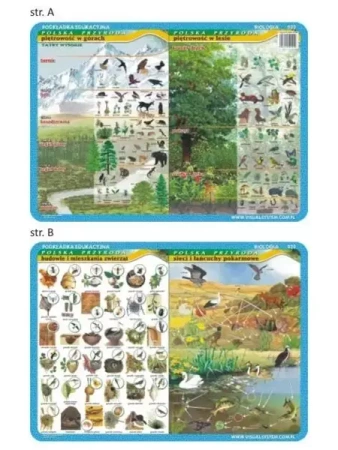 Podkładka edu. 020 - Piętrowość w górach i lesie.. - Visual System