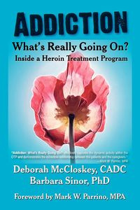 Addiction--What's Really Going On? - Deborah McCloskey